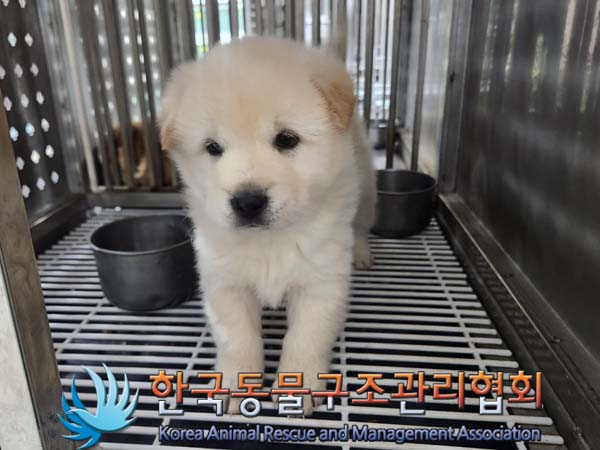 한국동물구조관리협회_441409202400288